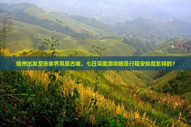 宿州出发至张家界凤凰古城，七日深度游攻略及行程安排是怎样的？