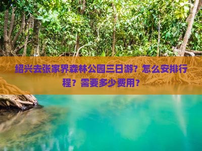 绍兴去张家界森林公园三日游？怎么安排行程？需要多少费用？