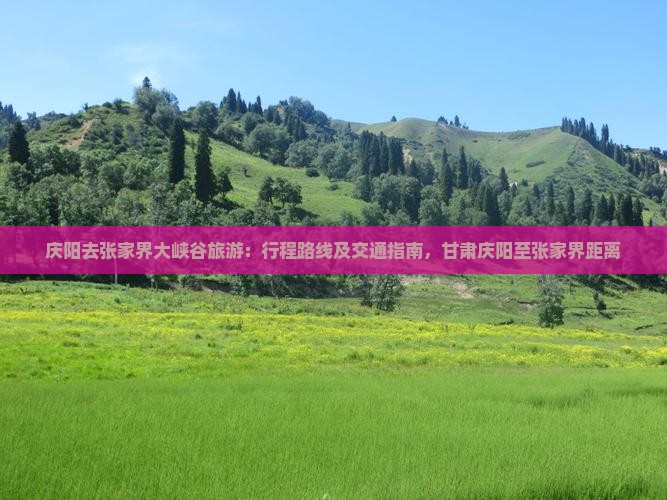 庆阳去张家界大峡谷旅游：行程路线及交通指南，甘肃庆阳至张家界距离
