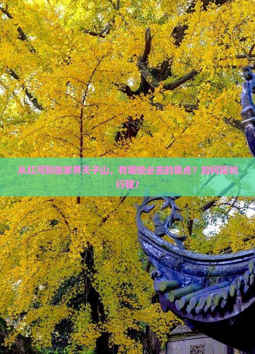 从红河到张家界天子山，有哪些必去的景点？如何规划行程？