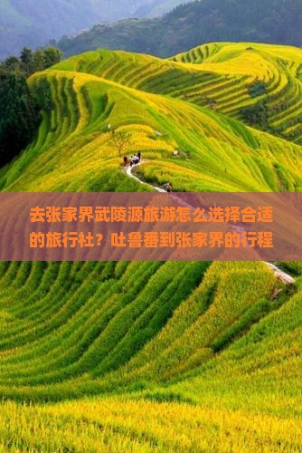 去张家界武陵源旅游怎么选择合适的旅行社？吐鲁番到张家界的行程安排是怎样的？