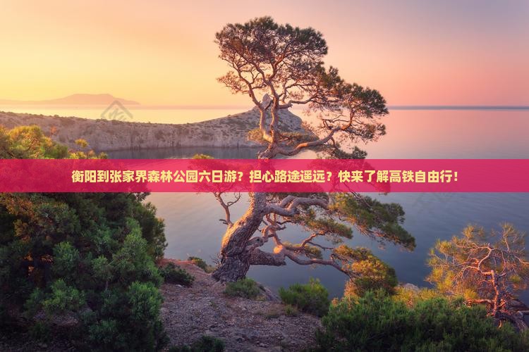 衡阳到张家界森林公园六日游？担心路途遥远？快来了解高铁自由行！