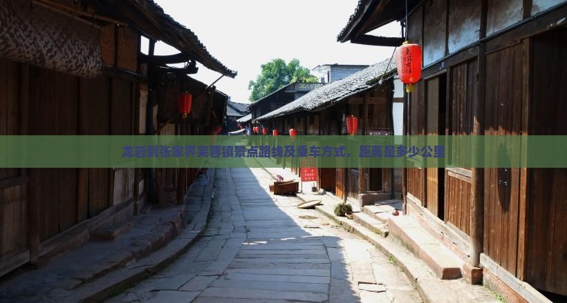 龙岩到张家界芙蓉镇景点路线及乘车方式，距离是多少公里