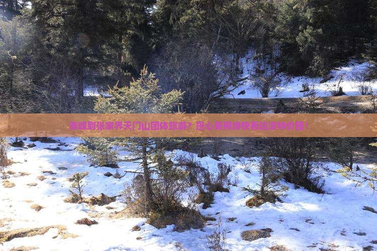 赤峰到张家界天门山团体旅游？担心费用缚快看这波特价团！