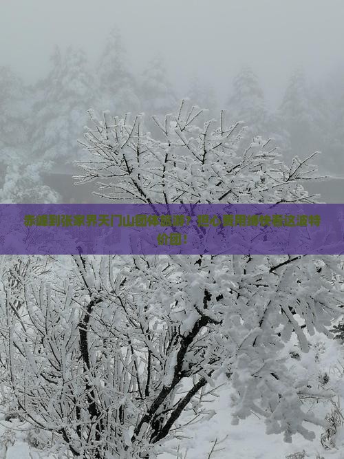 赤峰到张家界天门山团体旅游？担心费用缚快看这波特价团！