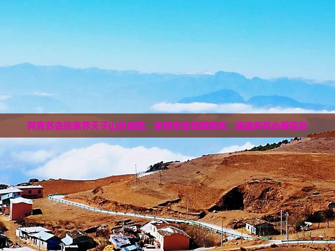 阿克苏去张家界天子山自由团，全程专业导游服务，涵盖所有必要信息