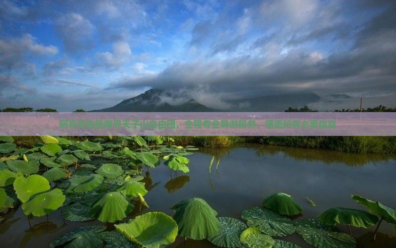 阿克苏去张家界天子山自由团，全程专业导游服务，涵盖所有必要信息