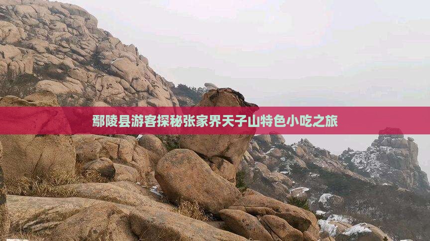 鄢陵县游客探秘张家界天子山特色小吃之旅
