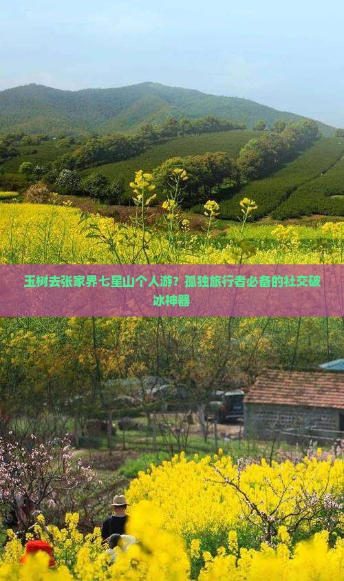 玉树去张家界七星山个人游？孤独旅行者必备的社交破冰神器