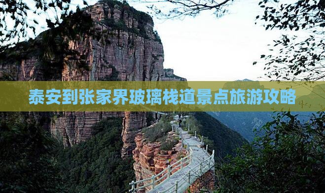 泰安到张家界玻璃栈道景点旅游攻略