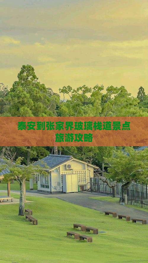泰安到张家界玻璃栈道景点旅游攻略