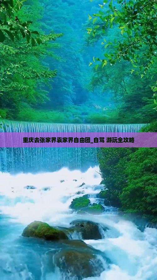 重庆去张家界袁家界自由团_自驾+游玩全攻略