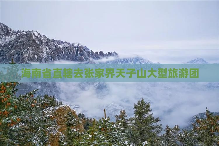 海南省直辖去张家界天子山大型旅游团
