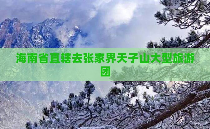 海南省直辖去张家界天子山大型旅游团