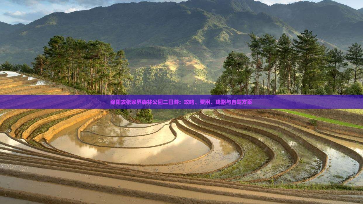 绵阳去张家界森林公园二日游：攻略、费用、线路与自驾方案