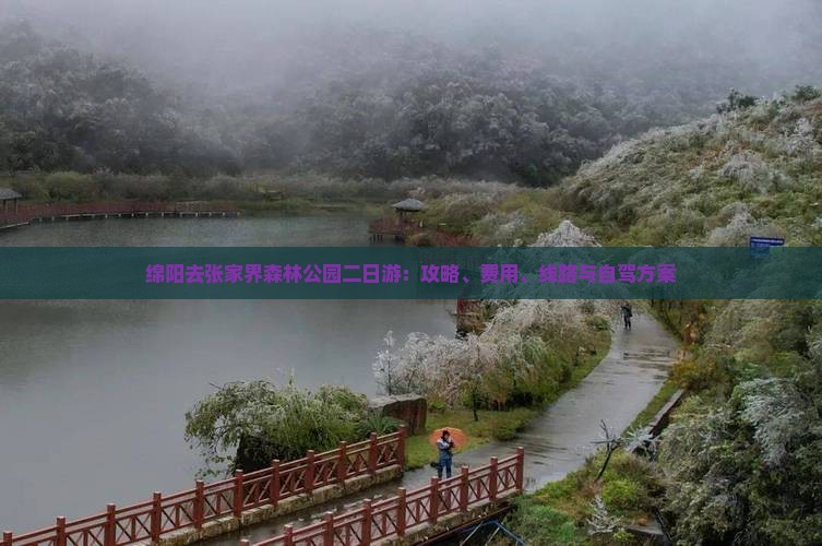 绵阳去张家界森林公园二日游：攻略、费用、线路与自驾方案