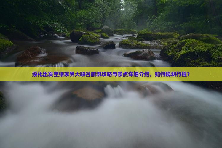 绥化出发至张家界大峡谷旅游攻略与景点详细介绍，如何规划行程？