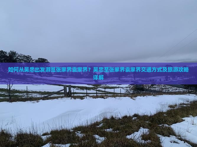 如何从吴忠出发游览张家界袁家界？吴忠至张家界袁家界交通方式及旅游攻略详解