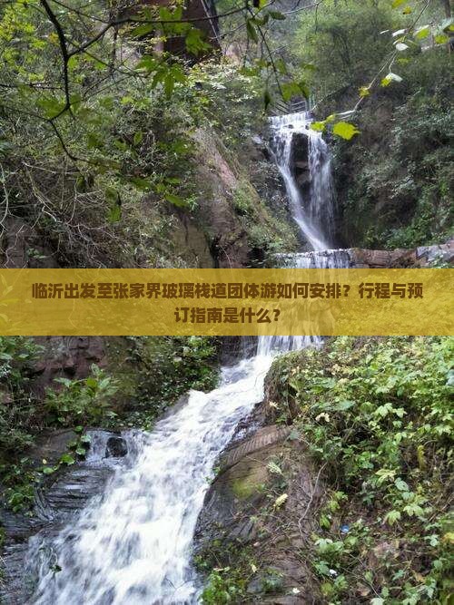 临沂出发至张家界玻璃栈道团体游如何安排？行程与预订指南是什么？