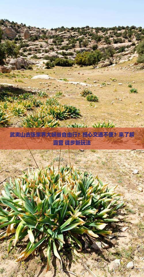 武夷山去张家界大峡谷自由行？担心交通不便？来了解露营+徒步新玩法