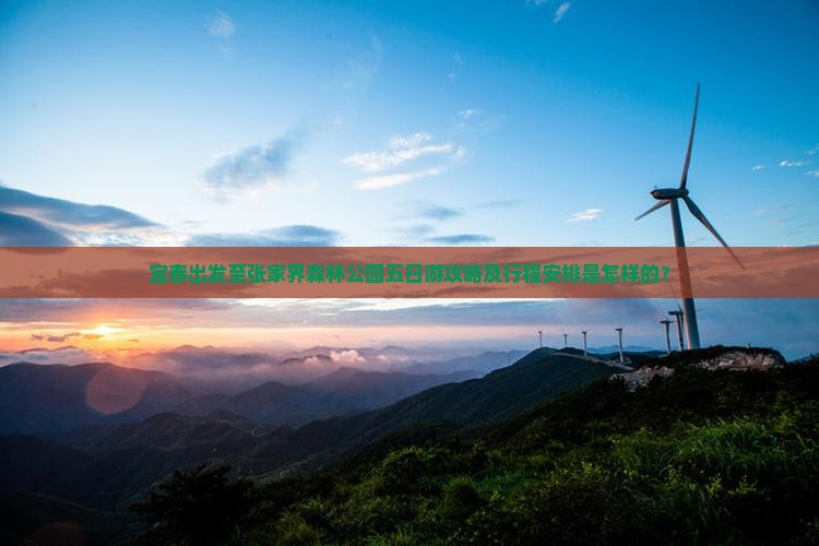 宜春出发至张家界森林公园五日游攻略及行程安排是怎样的？