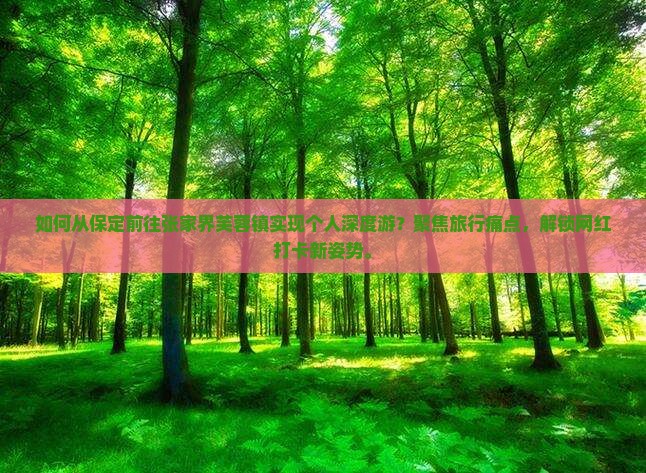 如何从保定前往张家界芙蓉镇实现个人深度游？聚焦旅行痛点，解锁网红打卡新姿势。