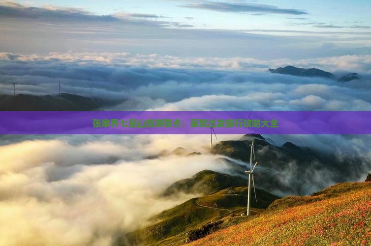 张家界七星山旅游景点：襄樊出发旅行攻略大全