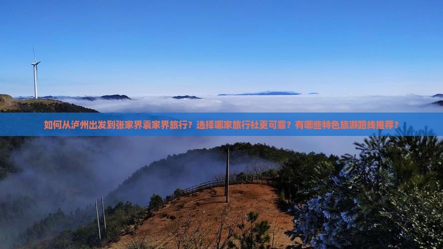 如何从泸州出发到张家界袁家界旅行？选择哪家旅行社更可靠？有哪些特色旅游路线推荐？