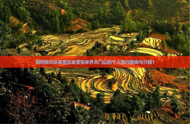 如何规划从莱芜出发至张家界天门山的个人旅行路线与行程？