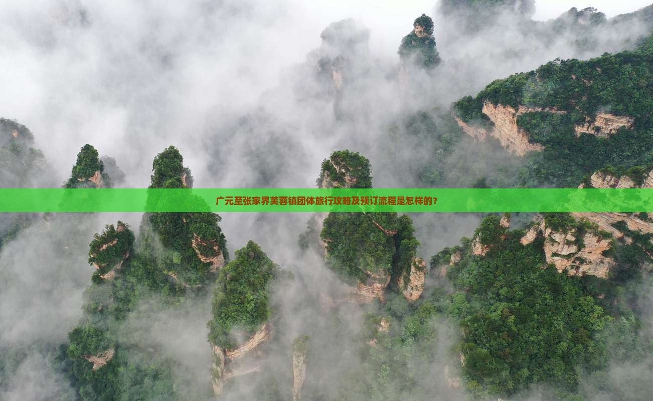 广元至张家界芙蓉镇团体旅行攻略及预订流程是怎样的？