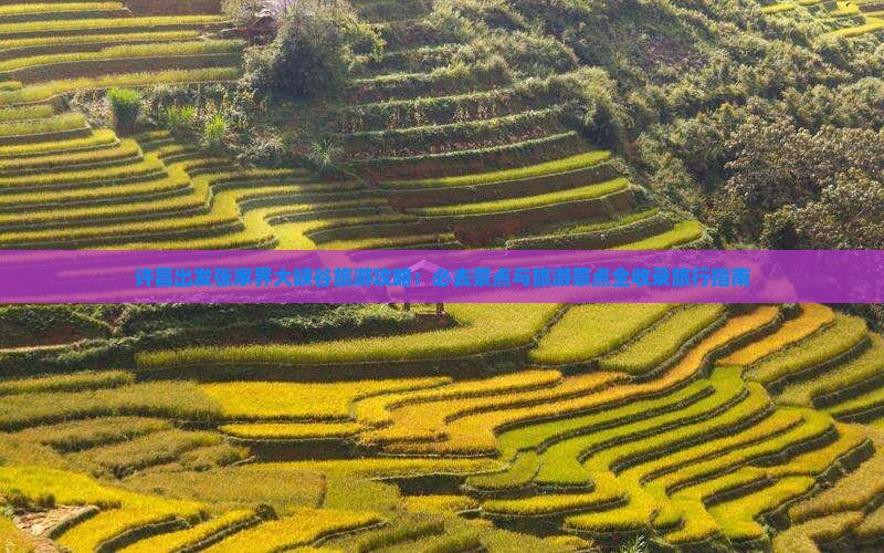 许昌出发张家界大峡谷旅游攻略：必去景点与旅游景点全收录旅行指南