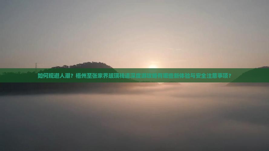 如何规避人潮？梧州至张家界玻璃栈道深度游攻略有哪些新体验与安全注意事项？