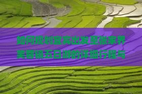 如何规划宜宾出发至张家界芙蓉镇五日游的详细行程与预算？