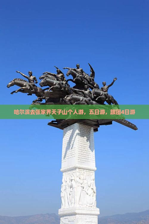 哈尔滨去张家界天子山个人游，五日游，跟团4日游