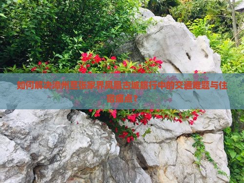 如何解决漳州至张家界凤凰古城旅行中的交通难题与住宿痛点？