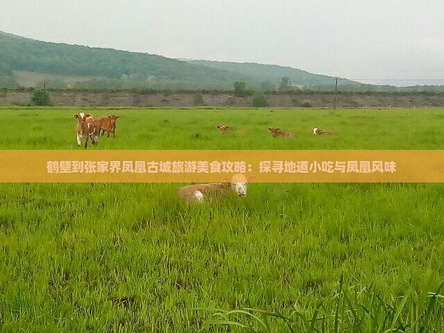 鹤壁到张家界凤凰古城旅游美食攻略：探寻地道小吃与凤凰风味