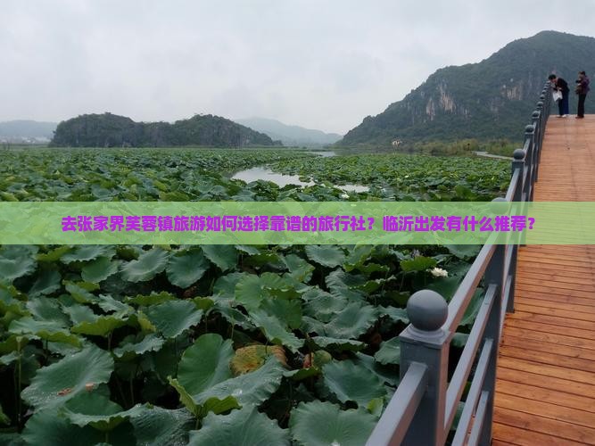 去张家界芙蓉镇旅游如何选择靠谱的旅行社？临沂出发有什么推荐？