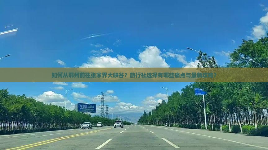 如何从鄂州前往张家界大峡谷？旅行社选择有哪些痛点与最新攻略？