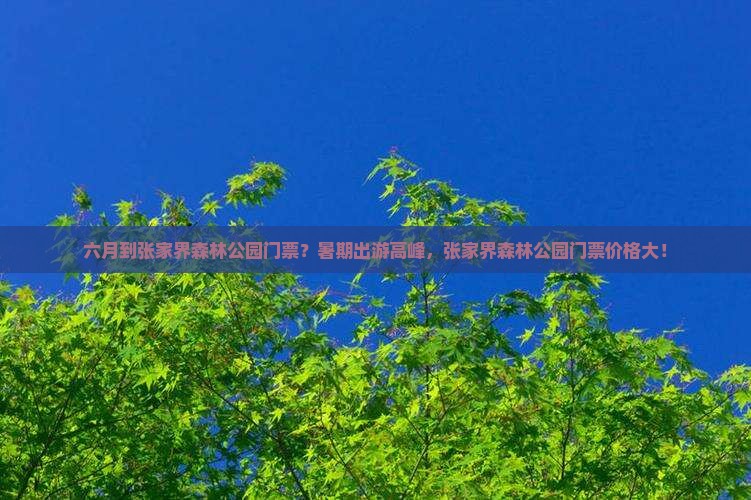 六月到张家界森林公园门票？暑期出游高峰，张家界森林公园门票价格大！