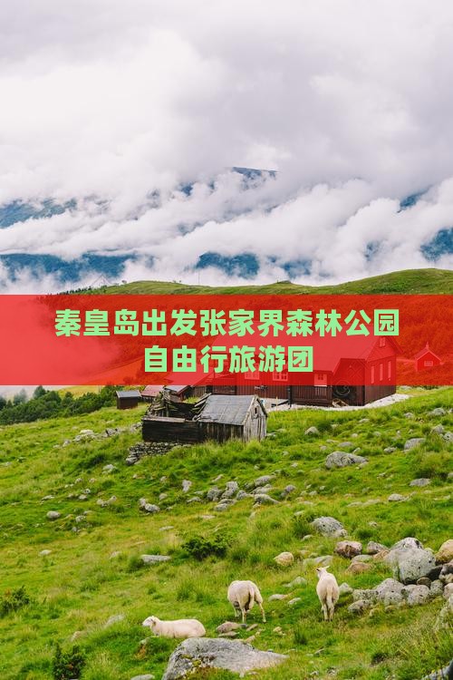 秦皇岛出发张家界森林公园自由行旅游团
