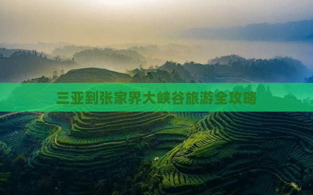 三亚到张家界大峡谷旅游全攻略
