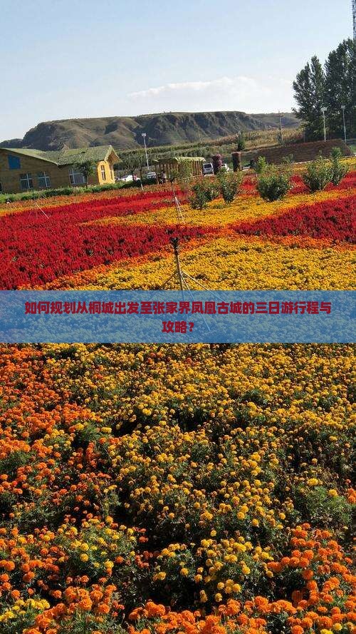 如何规划从桐城出发至张家界凤凰古城的三日游行程与攻略？