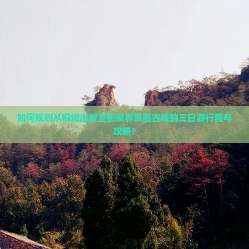 如何规划从桐城出发至张家界凤凰古城的三日游行程与攻略？