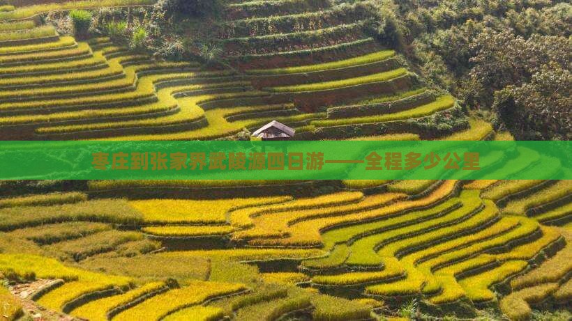 枣庄到张家界武陵源四日游——全程多少公里