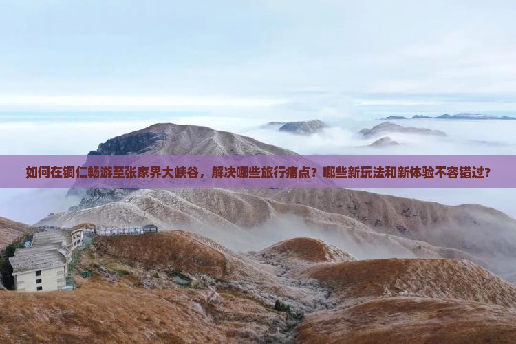 如何在铜仁畅游至张家界大峡谷，解决哪些旅行痛点？哪些新玩法和新体验不容错过？