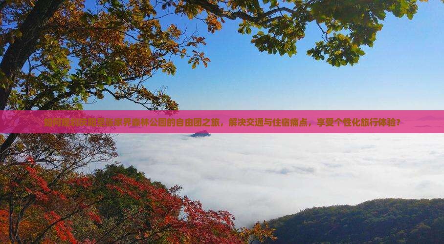 如何规划庆阳至张家界森林公园的自由团之旅，解决交通与住宿痛点，享受个性化旅行体验？