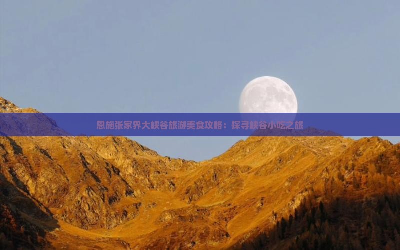 恩施张家界大峡谷旅游美食攻略：探寻峡谷小吃之旅