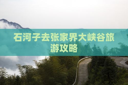 石河子去张家界大峡谷旅游攻略