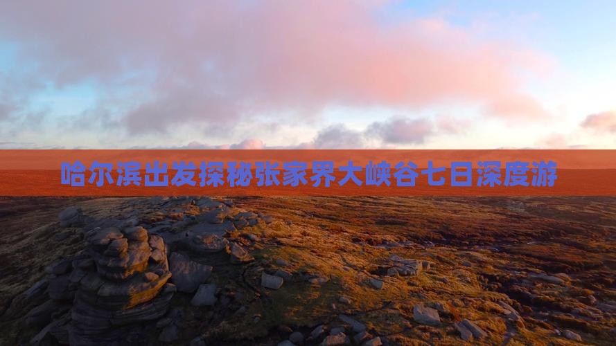哈尔滨出发探秘张家界大峡谷七日深度游