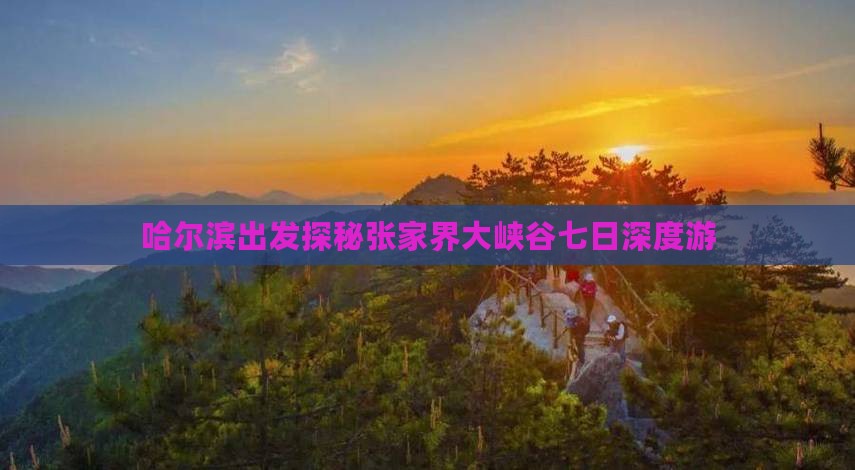 哈尔滨出发探秘张家界大峡谷七日深度游